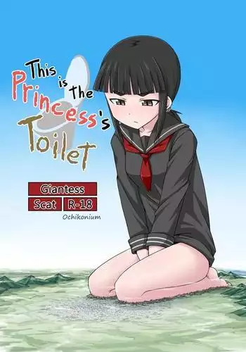 Koko wa Hime-sama no Toile desu