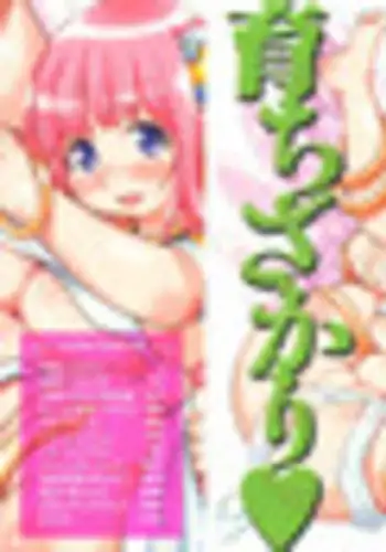 [Kinoshita Junichi] Sodachi Zakari