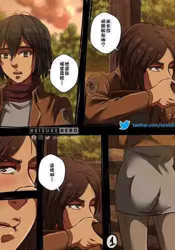 Eren x Mikasa