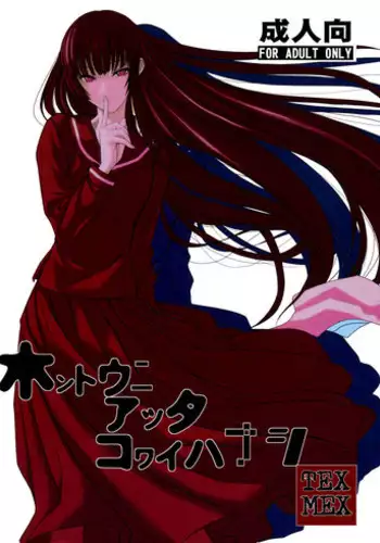 (C82) [TEX-MEX (Red Bear)] Hontou ni Atta Kowai Hanashi | It Really Was There! A Scary Story (Various) [English] [The Lusty Lady Project]