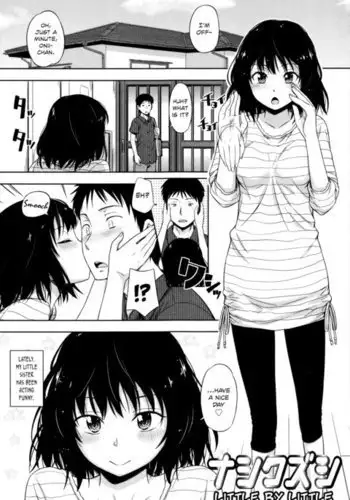 Nashikuzushi | Little by Little