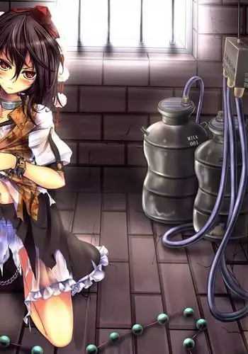 Shameimaru Aya Kyousei Zecchou Souchi