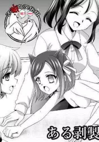 Aru Hakusei no Omoide