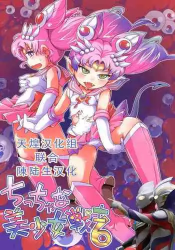 Chiccha na Bishoujo Senshi 6